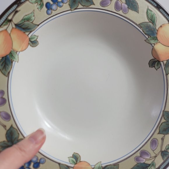 TWO Mikasa Intaglio Garden Harvest Rim Soup Bowls Fruit and Leaves on Rim - Picture 11 of 13